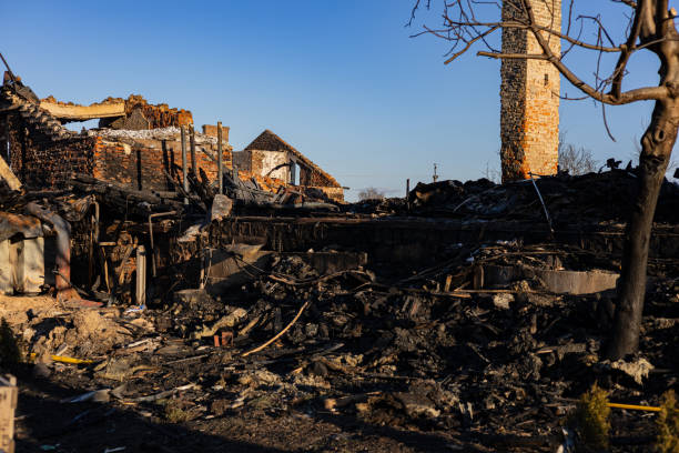 Reliable Fire Damage Restoration contractor in Big Lake, WA by Fire Damage Doption
